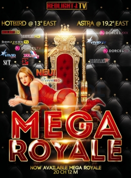 Redlight MEGA ROYALE 13 Sender Viaccess Karte - 12 Monate